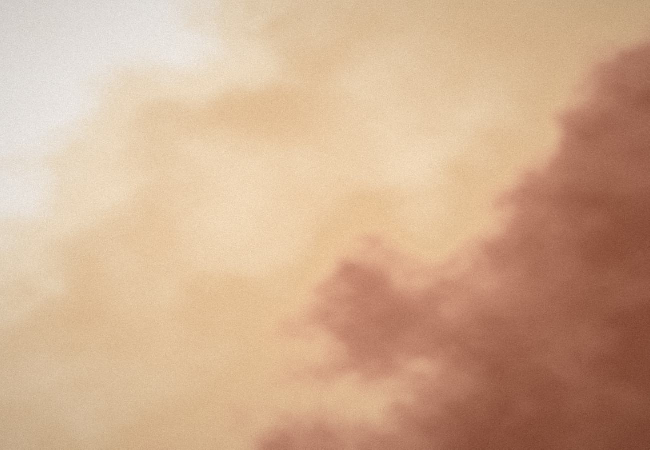 Bella Avora brand texture